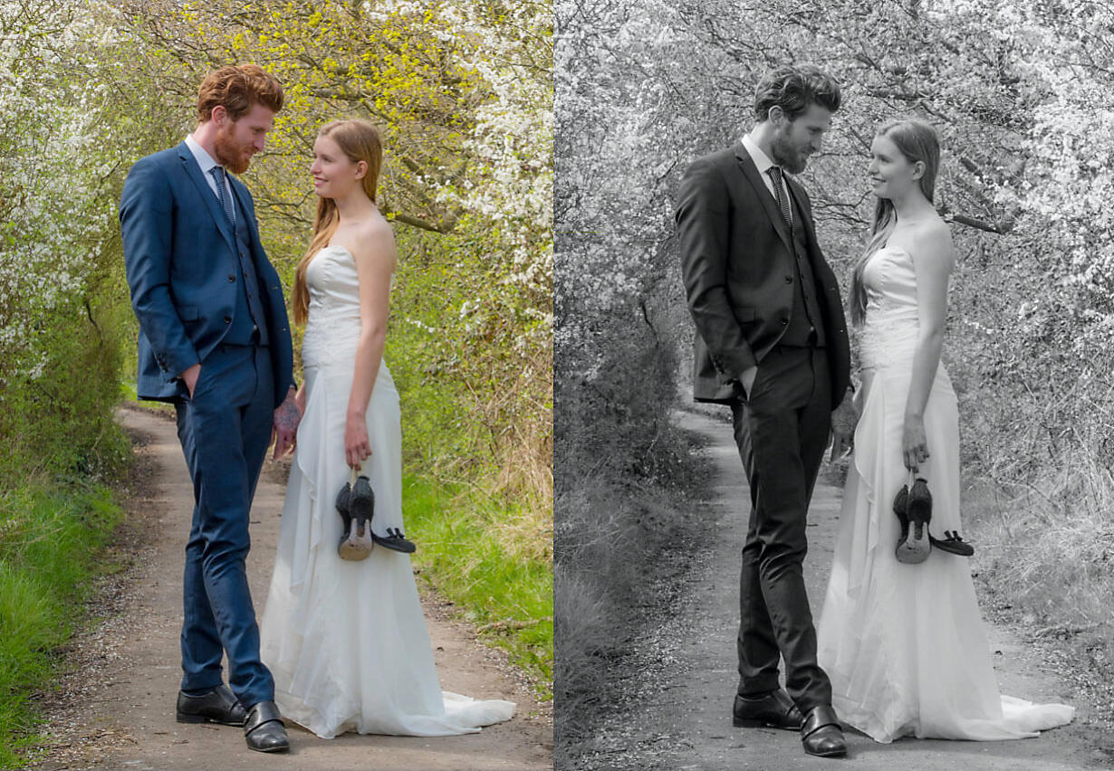 Logo elements ARROWS copyright Nadina Bee wedding photo gallery in colour and black and white of couple standing between hedges in bloom